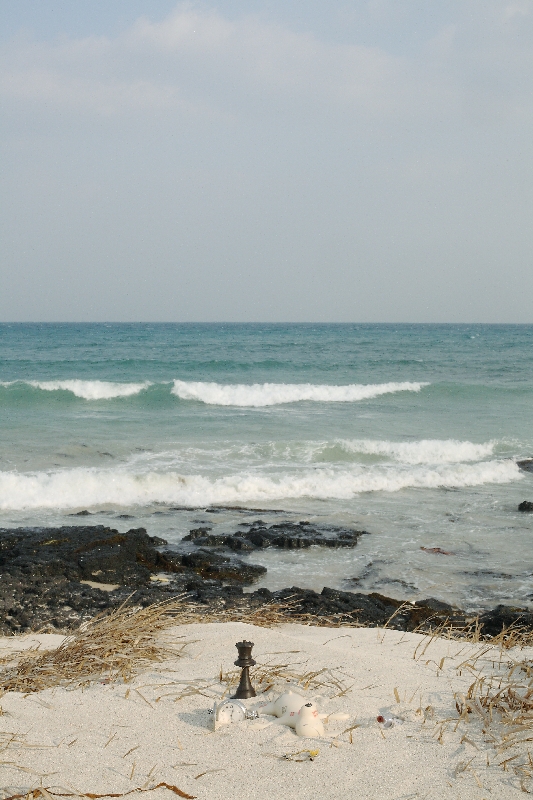 wculture_11_10_2_H800