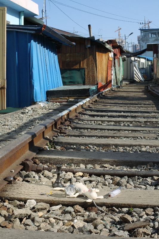 wculture_11_10_5_H800